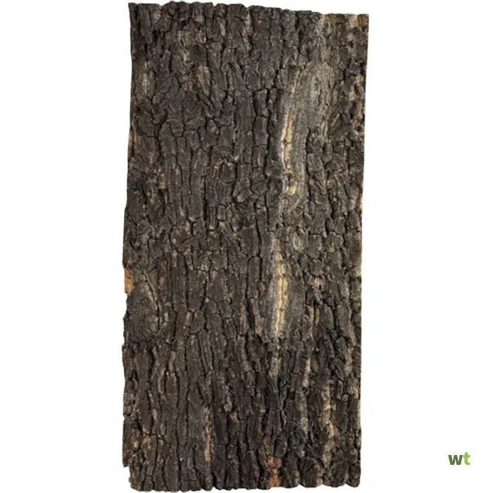 PANNELLO IN SUGHERO NATURALE CM 30 X 60