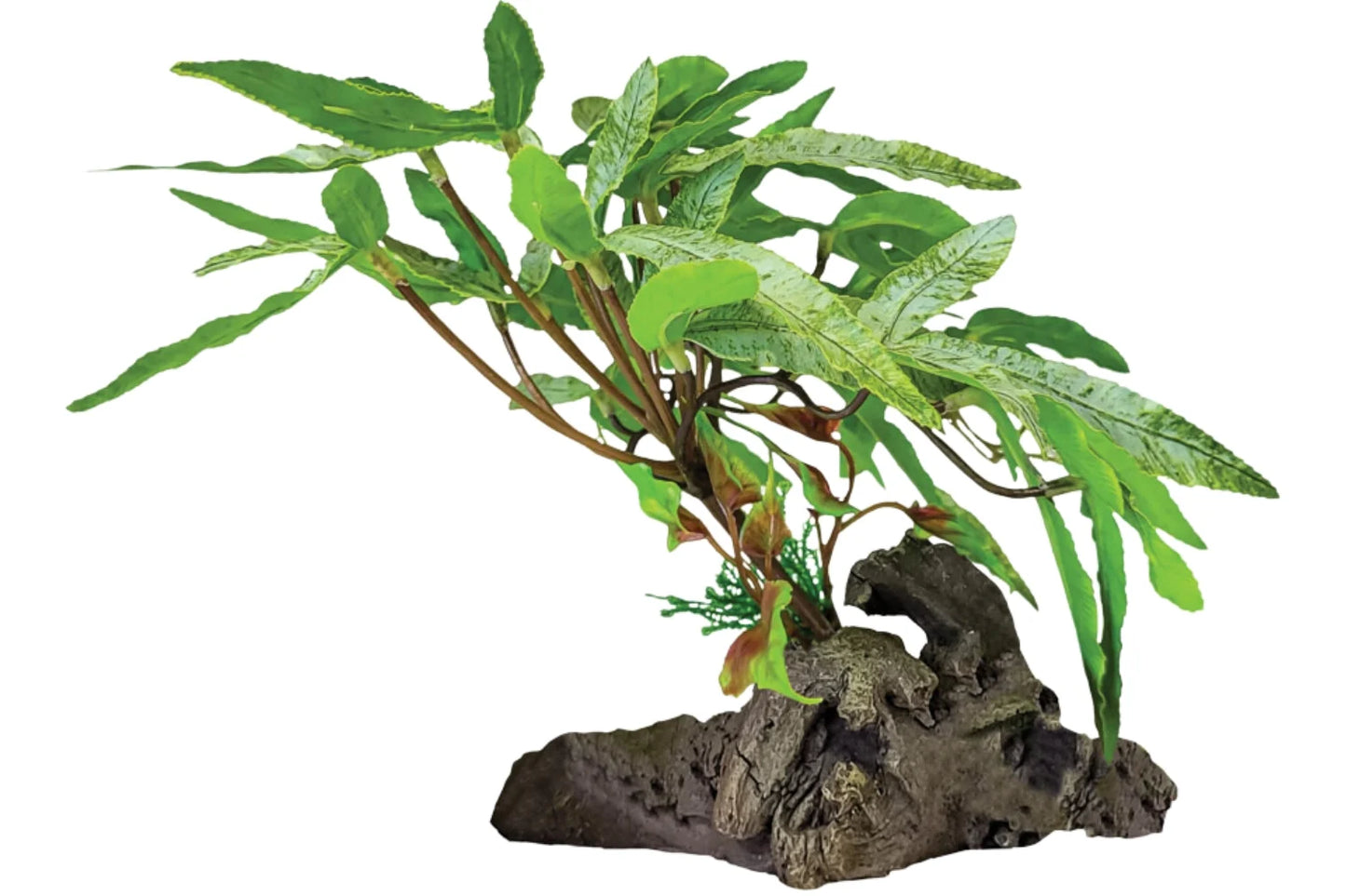 REPTO PLANT ON DECO THREE TIP LEAVE