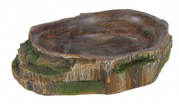 CIOTOLA IN RESINA TROPICALE 18 CM