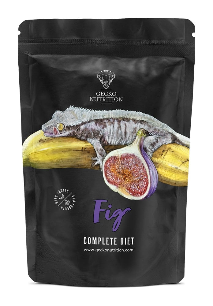 GECKO NUTRITION BANANA E FICO 100G