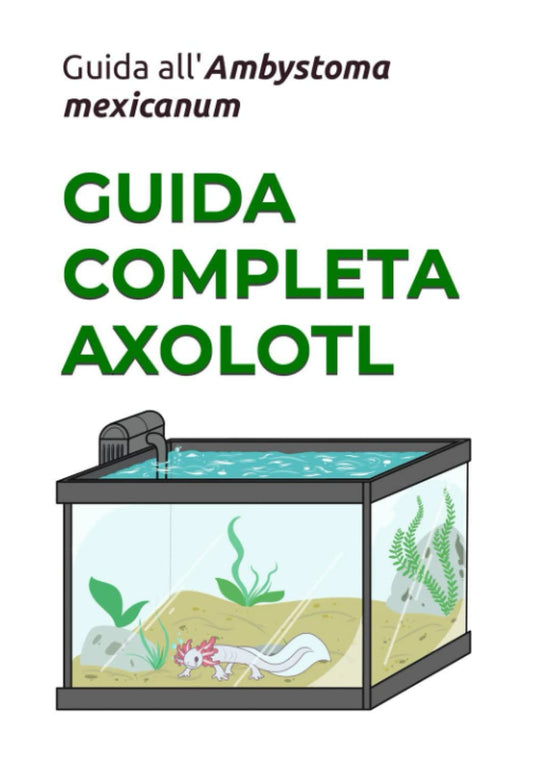 GUIDA AGLI AXOLOTL