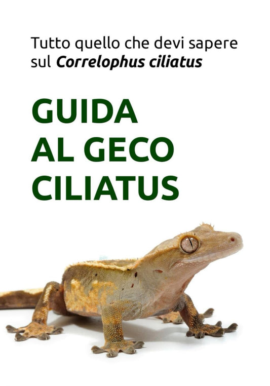 GUIDA AL GECO CILIATUS