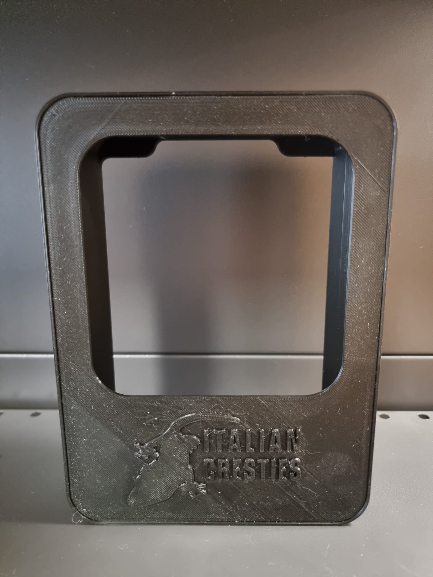 MANGIATOIA PER CAMALEONTI