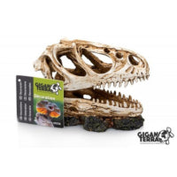 TESCHIO DINOSAURO4 13X6X11CM