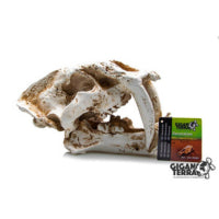 TESCHIO TIGRE XL - 26X14.5X15.5CM