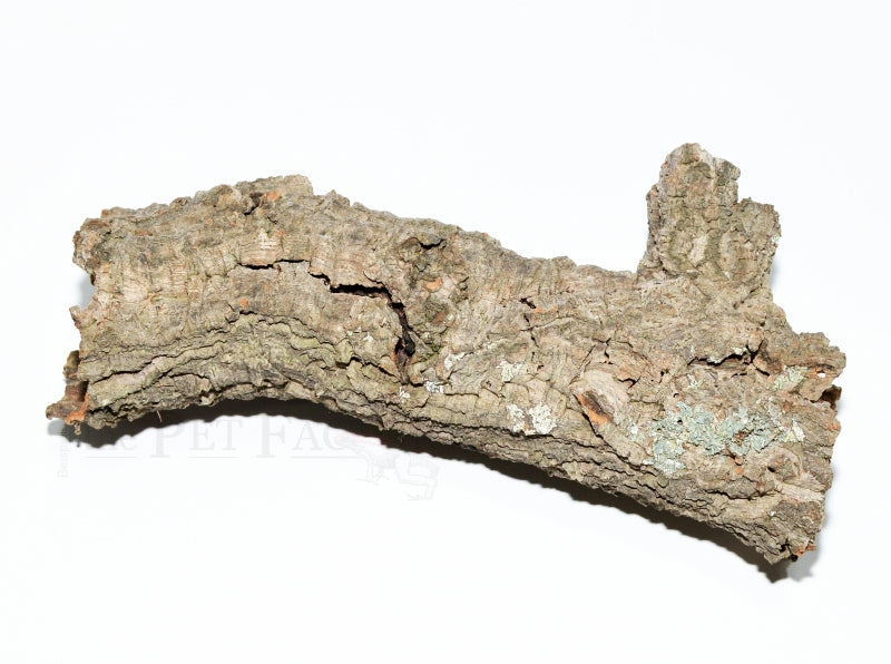 SUGHERO DECORATIVO CM 20/40 DIAM 10