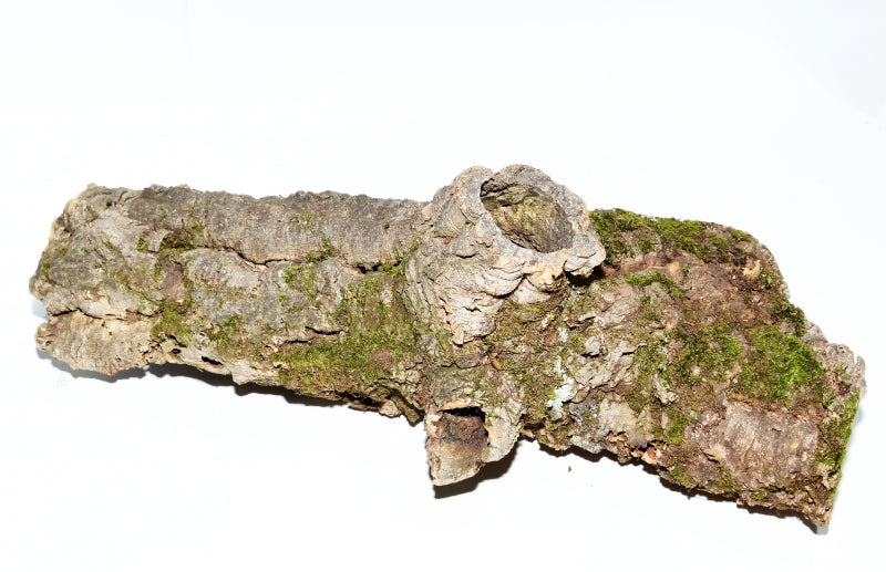 SUGHERO DECORATIVO CM 40/60 DIAM 10