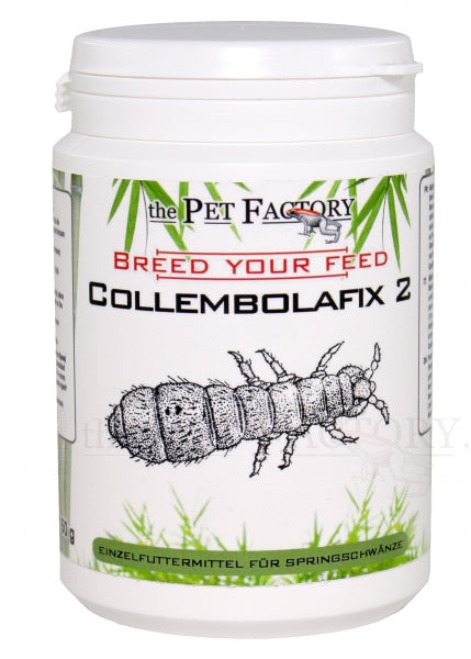 MANGIME PER COLLEMBOLI