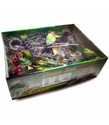 DECORAZIONI PER TERRARIO TROPICALE