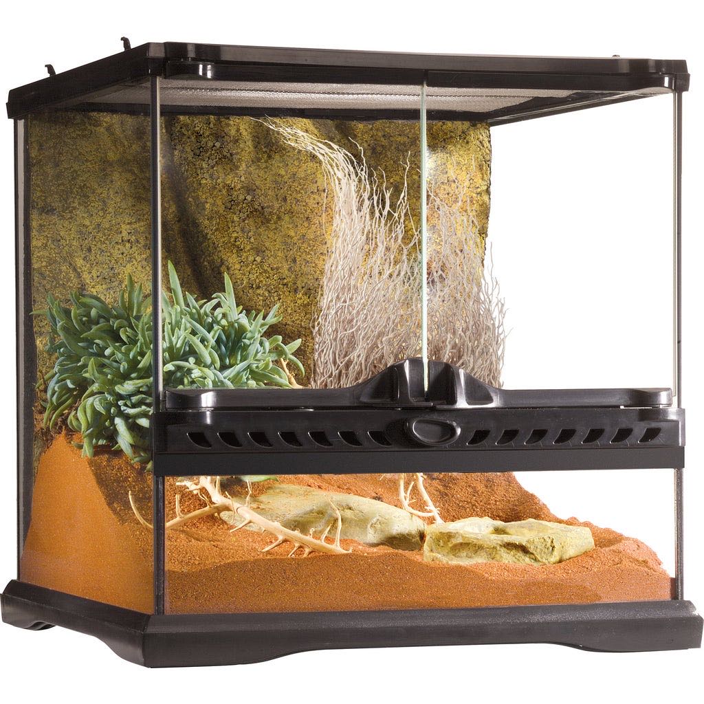 TERRARIO GLASS TERRARIUM 30X30X30