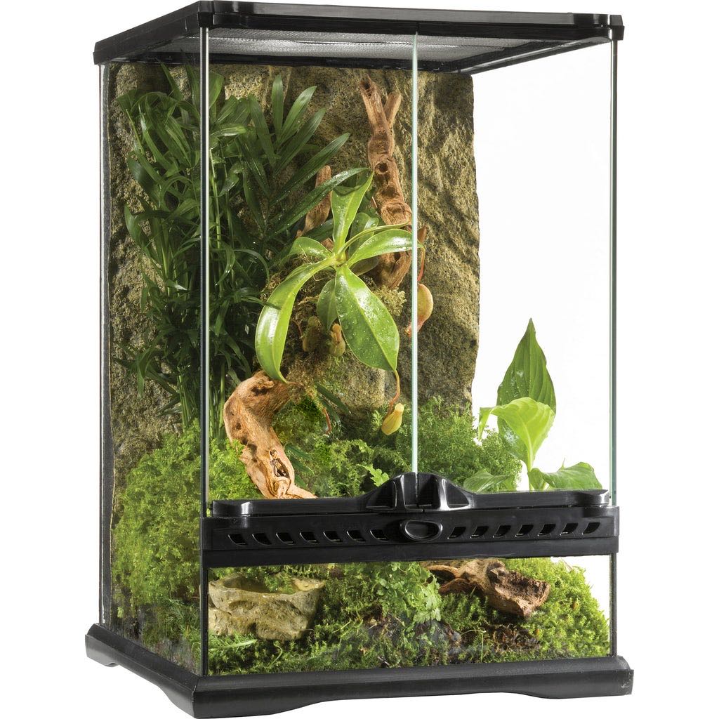 TERRARIO GLASS TERRARIUM 30X30X45