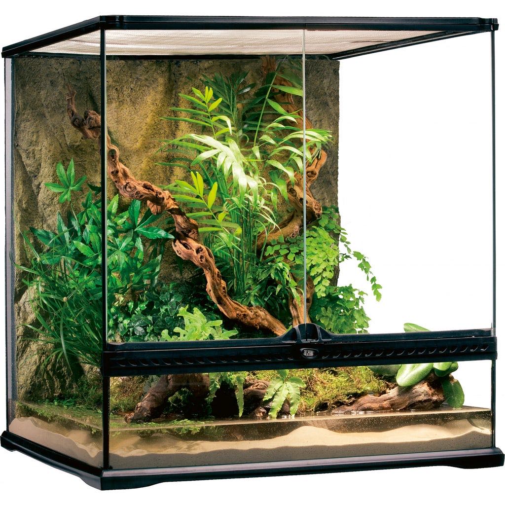 TERRARIO GLASS TERRARIUM 45X45X45