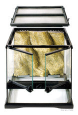 TERRARIO GLASS TERRARIUM 45X45X45
