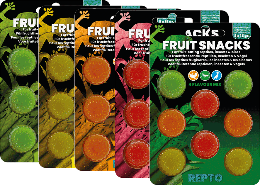 REPTO FRUIT SNACKS MIX