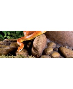 ROCK OUTCROPS - HIDING CAVE MEDIUM