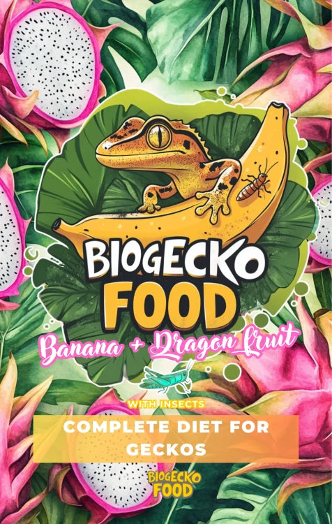 BIOGECKO FOOD BANANA & FRAGOLA – 100G