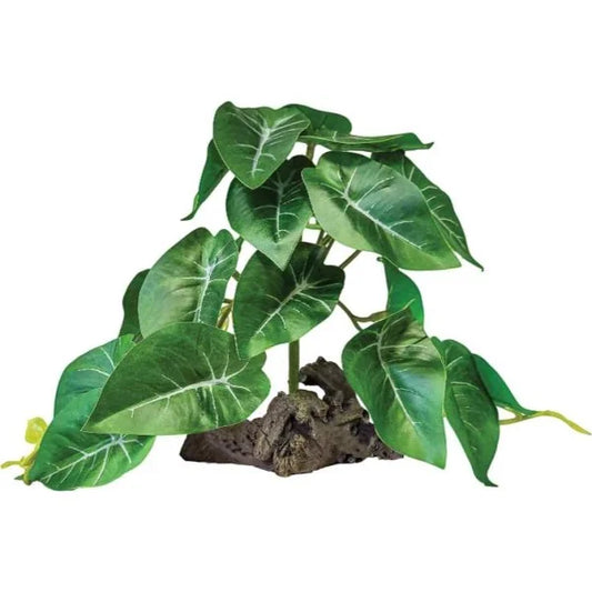 REPTO PLANT ON DECO ELEPHANT GREEN