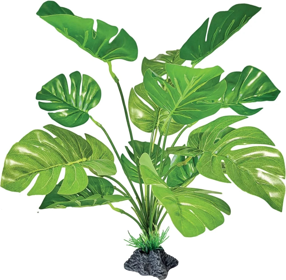 REPTO PLANT STANDING MONSTERA