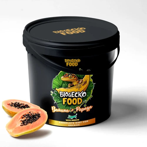 BIOGECKO FOOD BANANA E PAPAYA 2 KG