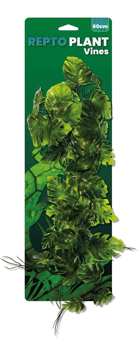 REPTO PLANT VINES VERDE MONSTERA cm60