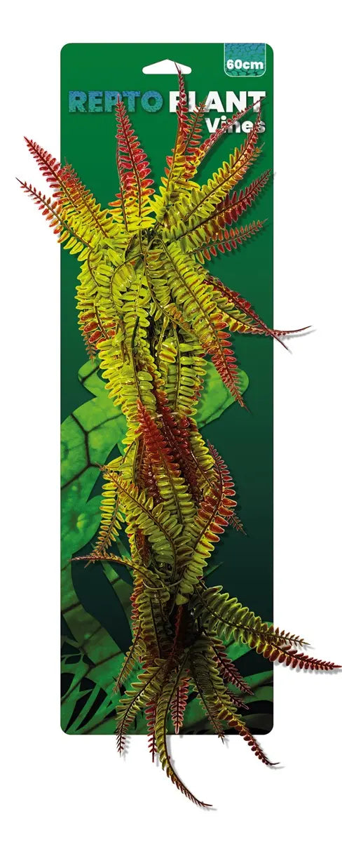 REPTO PLANT VINES ROSSO/VERDE FELCE CM 60