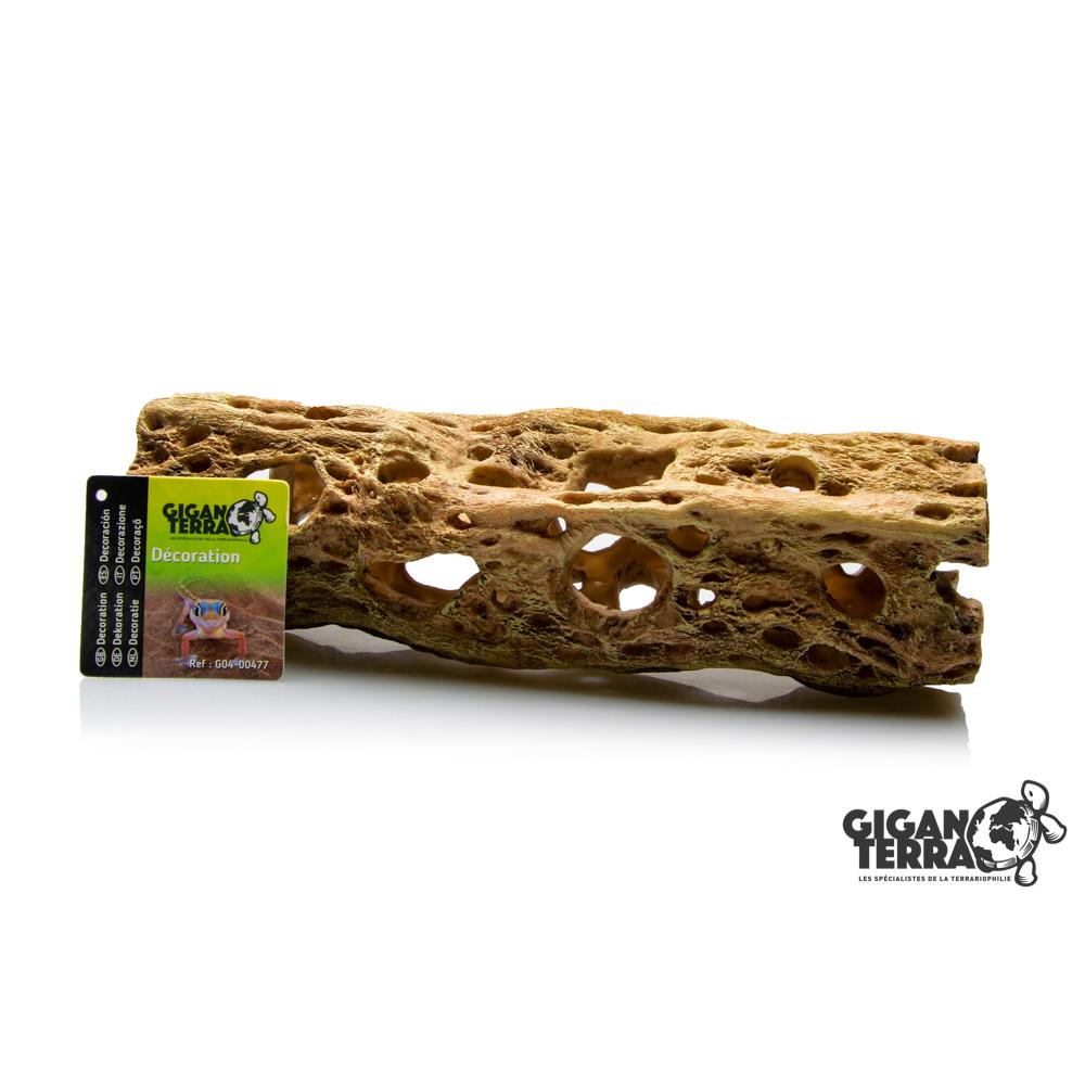 CHOLLA CACTUS L