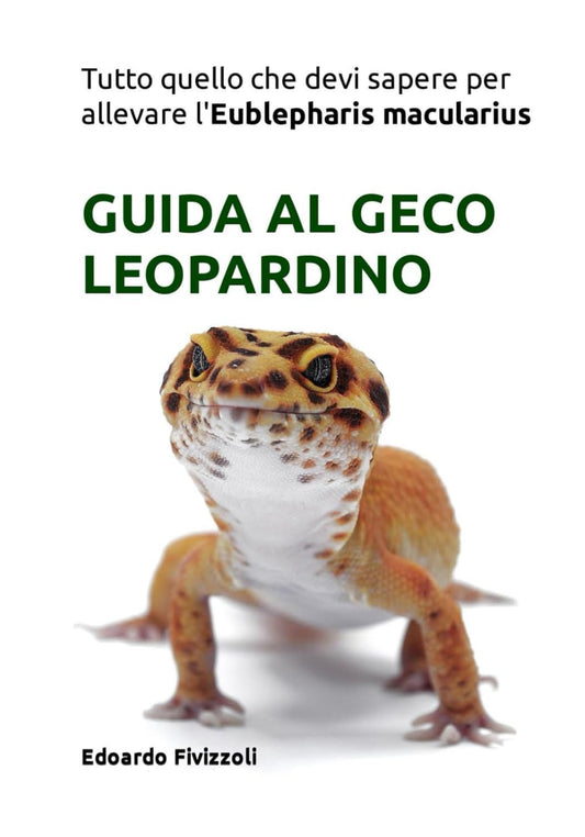 GUIDA AL GECO LEOPARDINO