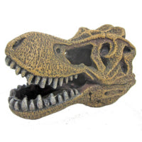 TESCHIO DI T-REX