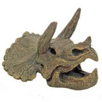 TESCHIO DI TRICERATOPO