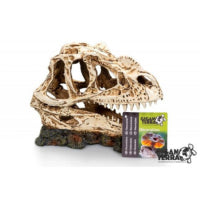 TESCHIO DINOSAURO2 19X9X14CM