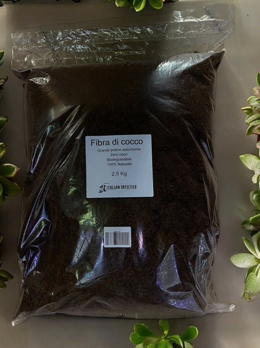 FIBRA DI COCCO KG 2,5
