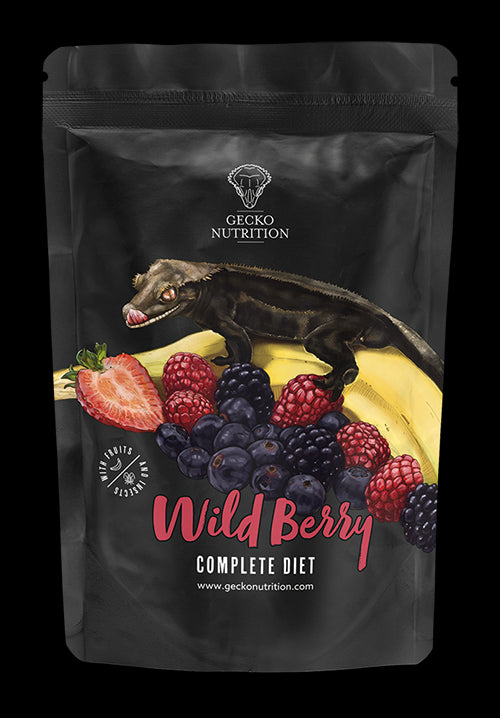 GECKO NUTRITION BANANA E FRUTTI DI BOSCO 50G