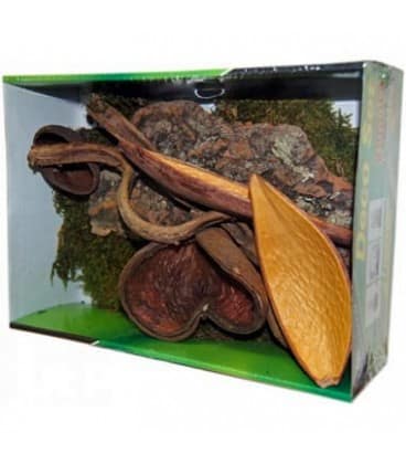 DECORAZIONI PER TERRARIO JUNGLE