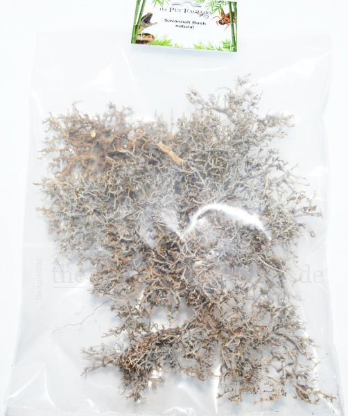 SAVANNAH BUSH NATURALE