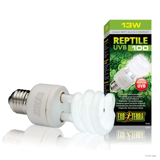 REPTI GLO 5.0 COMPACT 13W