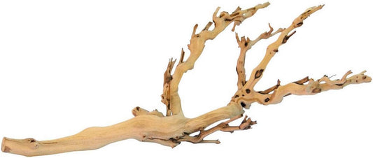 LEGNO DELLA FORESTA M