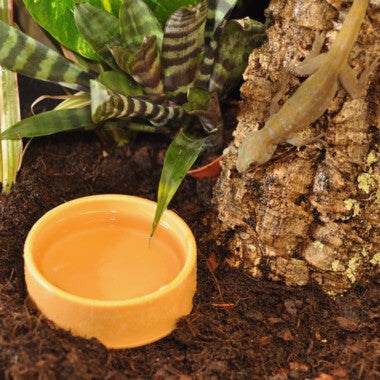 HABISTAT ROUND PLASTIC WATER BOWL MEDIUM 9 X 9 X 3.5CM