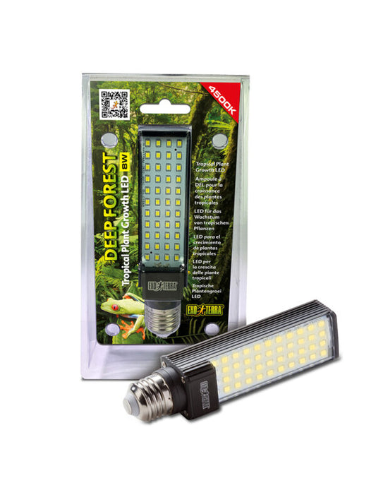 LAMPADA LED DEEP FOREST