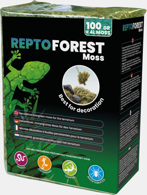 REPTO FOREST MOSS 100G