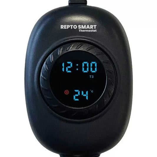 TERMOSTATO REPTO SMART