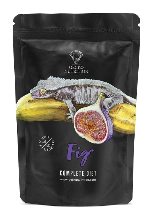 GECKO NUTRITION BANANA E FICO 500G