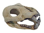 Teschio giaguaro