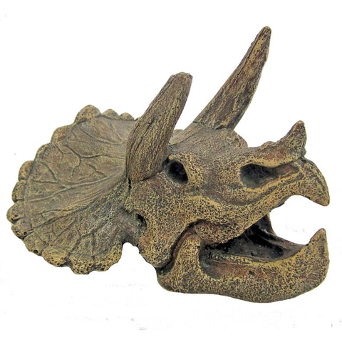 Teschio di triceratopo