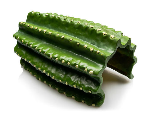 Tana Cactus