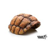 GiganTerra Guschio tartaruga